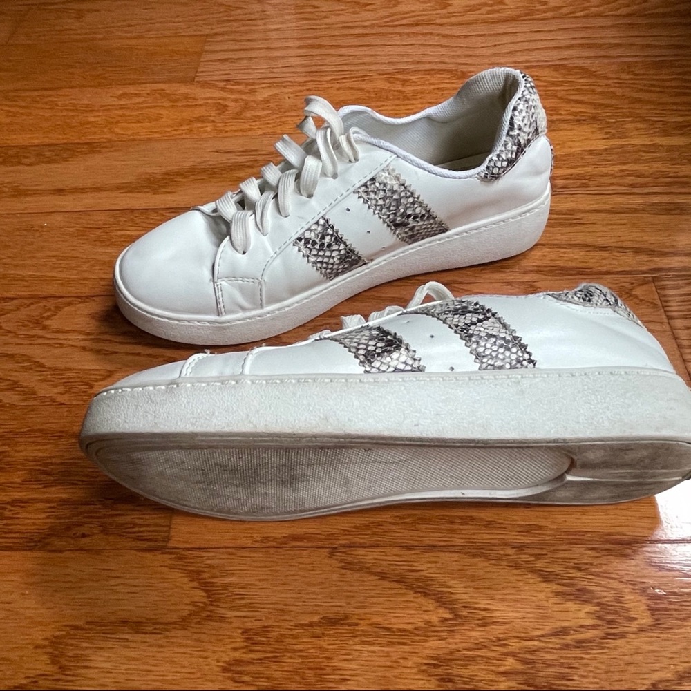 Ccocci size 6 Womans white sneakers w snake print.